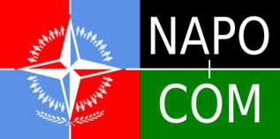 NAPO logo russ small2